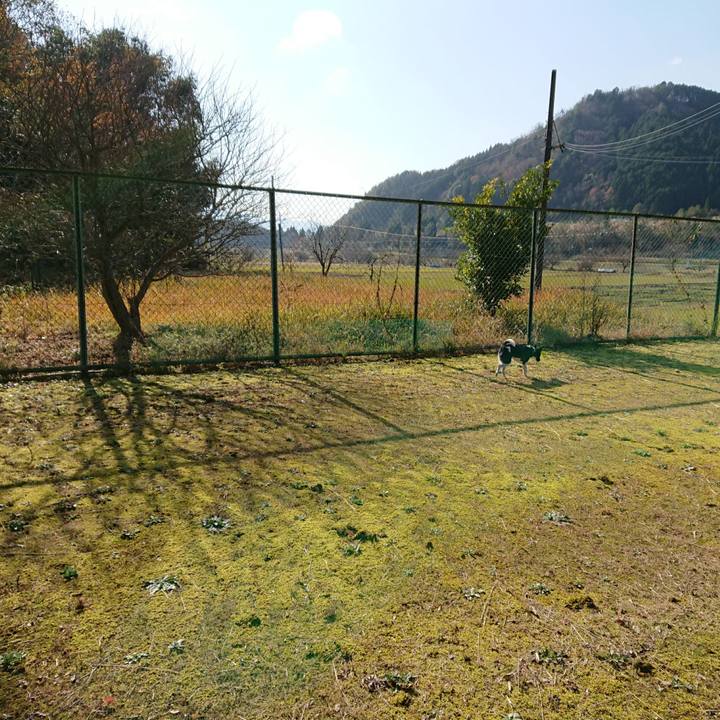 D3bbda17 b484 4002 919c 23fa3841c2f0 1511752379779