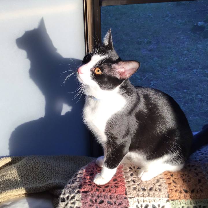 D3bbdbf3 51e8 4192 bdea b743478c30f9 1635581530840