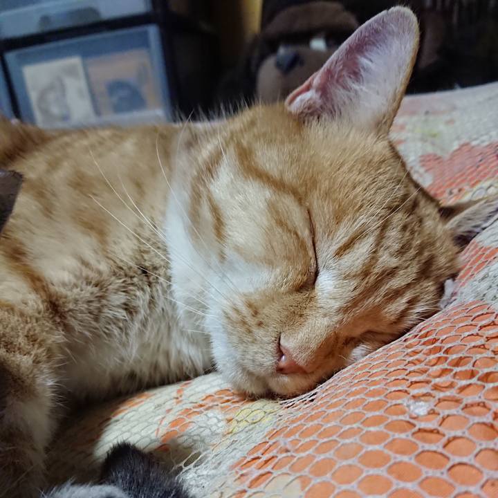 D3bbe3d9 a6af 4f91 9863 961311cb1adf 1576930601054