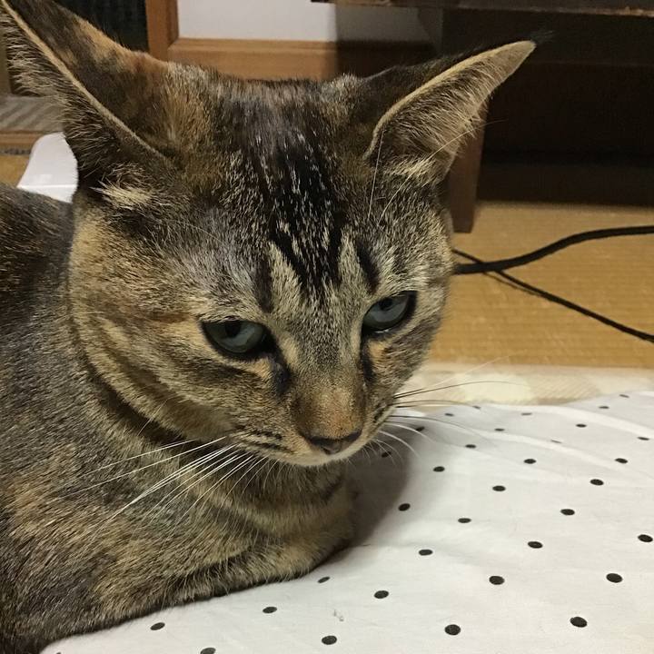 D3bc05d1 ccae 44b5 ac3b 63f58b9d836e 1607763951717