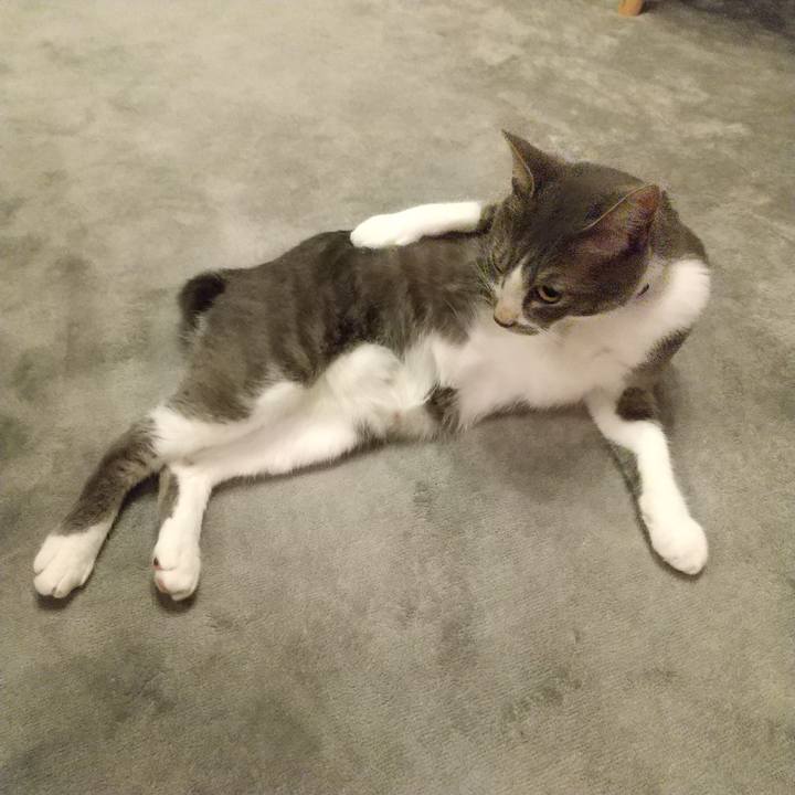 D3bc2957 c7ca 4d74 907b 77c045147e24 1596031011651