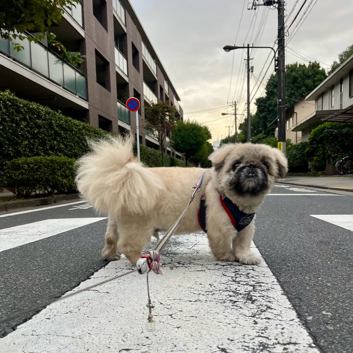 D3bcc781 07aa 4465 8ba5 66e2cb5d7d9d 1760750373346