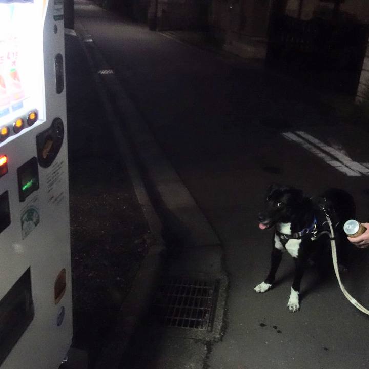 D3bd7e48 77d4 495f 8591 b7f923e46a09 1652526748625