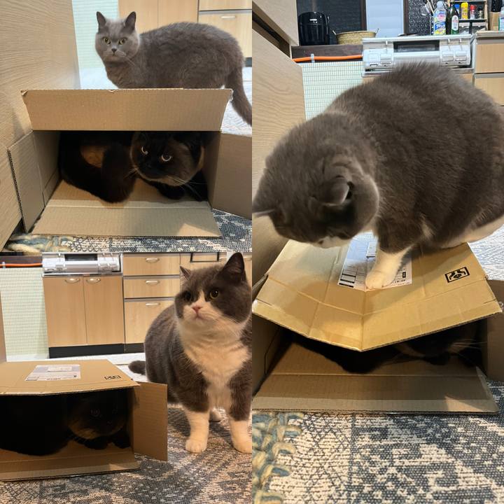 D3bd8edb 7c22 48cd 9142 97d350a49d94 1646999242766