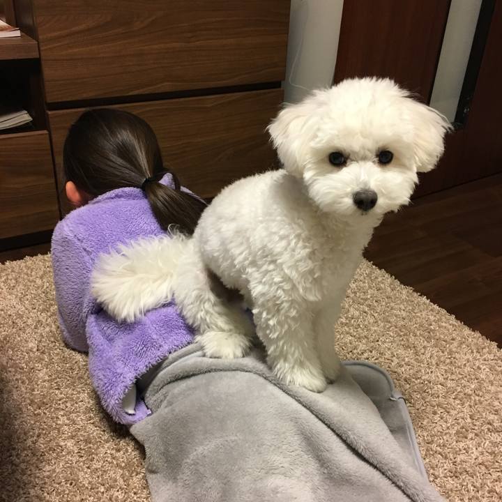 D3bdca47 5cc0 4855 a7e9 9a0b45c236b6 1516880936650