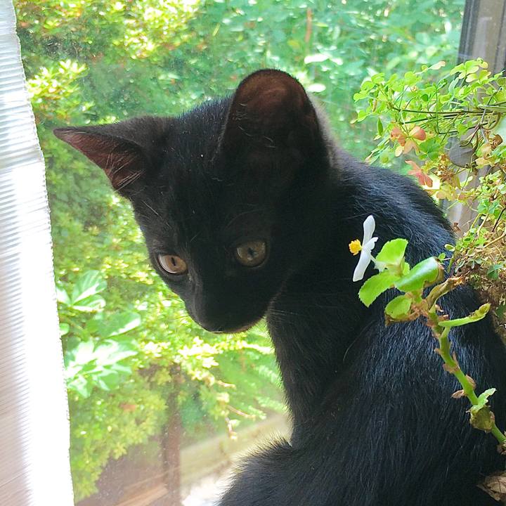 D3be077c 6e9c 48b1 b94d 171786af1671 1629335668725