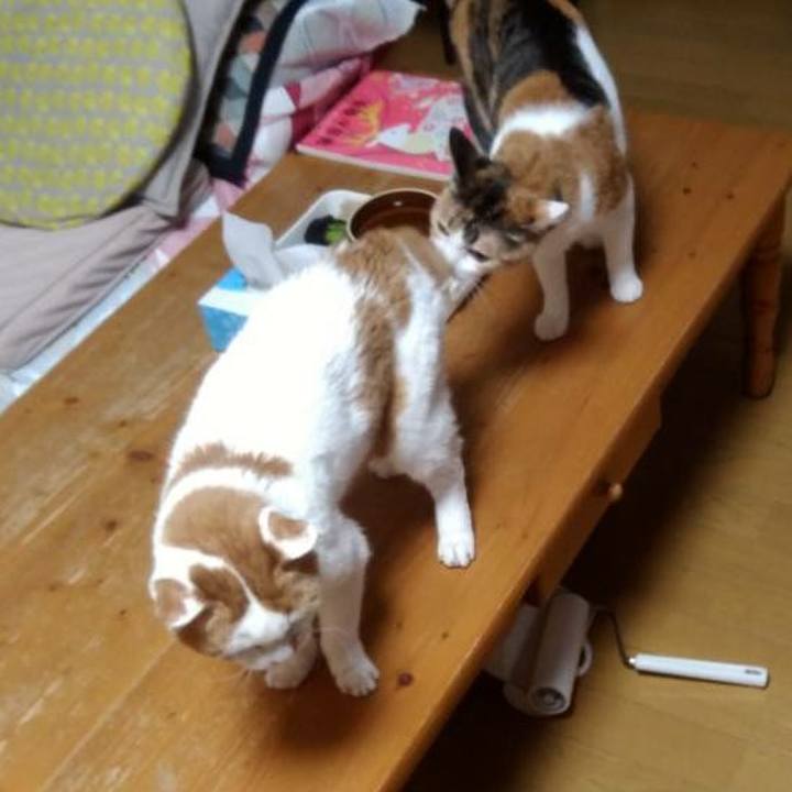 D3be09d6 3e40 4199 989e 482ac34db3cc 1545311224262