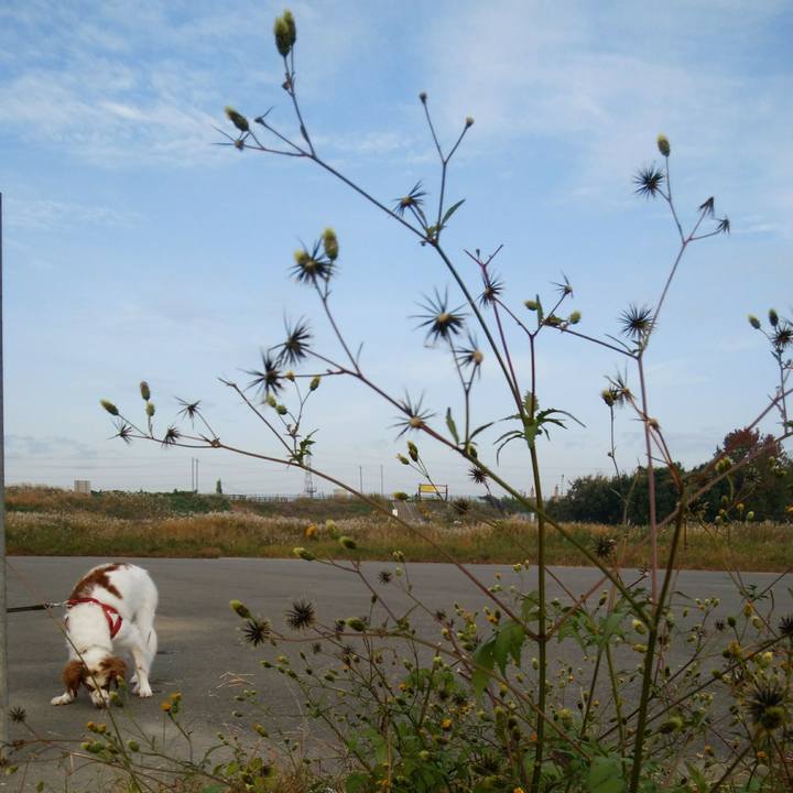 D3be643f 1f8e 4dad b79a 4d82ee15de4c 1541987037489