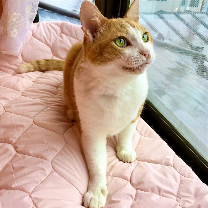 D3beaf15 5cbd 4ba3 afe1 2632e260babe 1599376266741