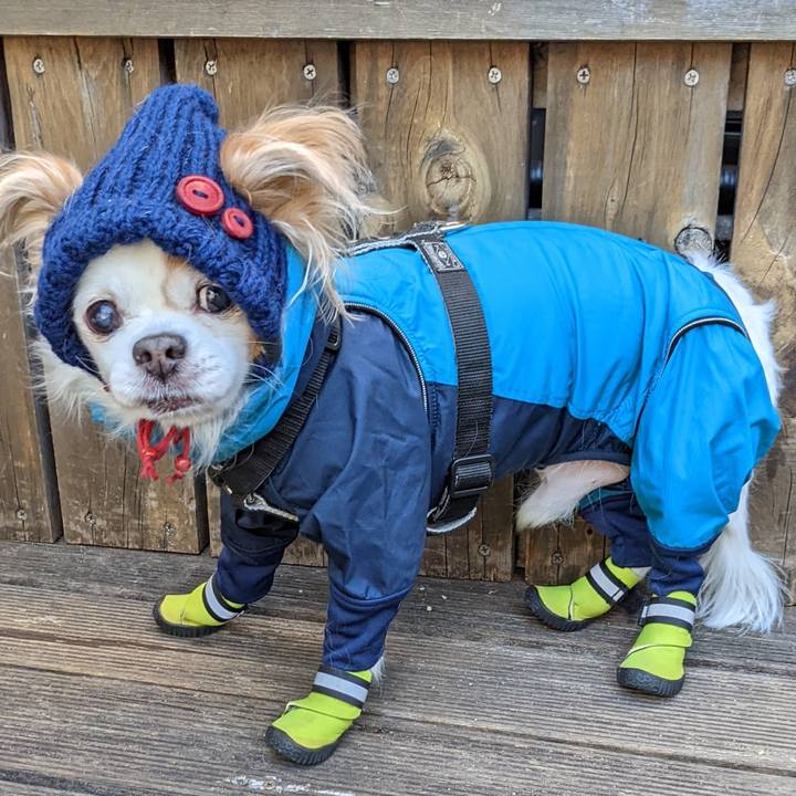 D3bebdcb 6e43 4a58 a4eb 1566961e7e73 1641699915136