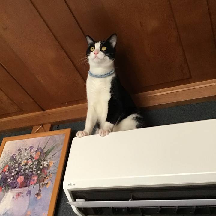 D3befaeb e72e 496d b805 30584965c295 1662888814495