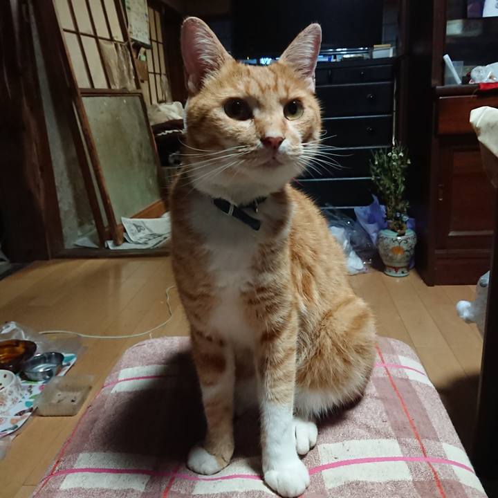 D3bf2578 afb7 45ea 9834 4d3f5eed7a42 1599856377219