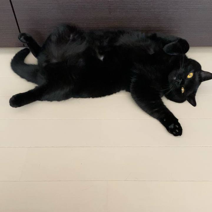 D3bf4a45 0820 4ac3 9bb0 e1adcf56c6f6 1625188549115