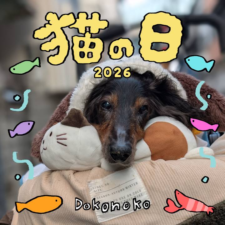 D3bf7380 ed68 4ba2 9d0c ae8af2d8c111 1771722542534