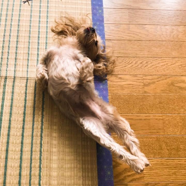 D3bf7625 a6a7 4324 8146 e72ee62ca83b 1562835616255