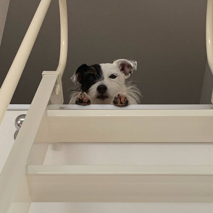 D3bf93ac 5bda 481e 85d8 cee6cda0a917 1567064253161