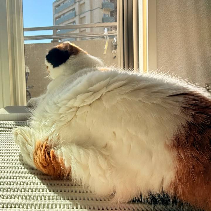 D3bfbb60 610c 45ff ac12 ce7c32fbd870 1759546253894