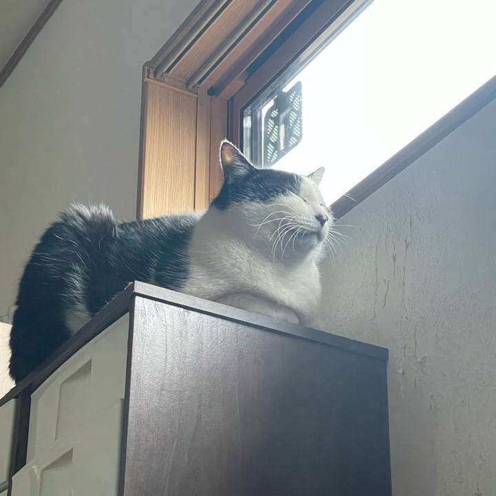 D3bfc591 783c 49f0 9c8a 32972074aad1 1741009046743