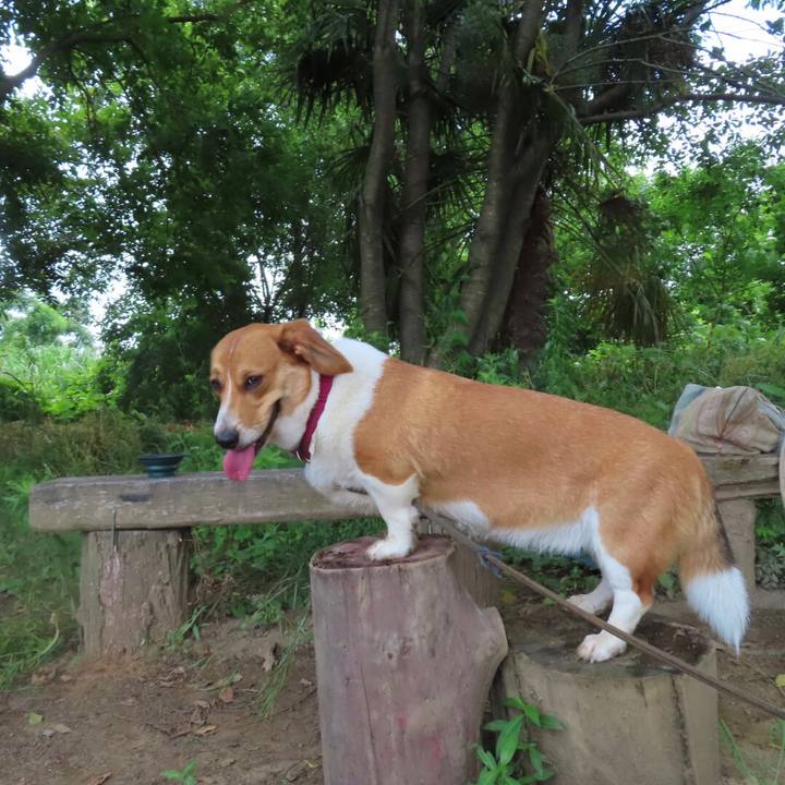 D3c01a9e a903 47b4 abb9 414c486bc025 1623933871354