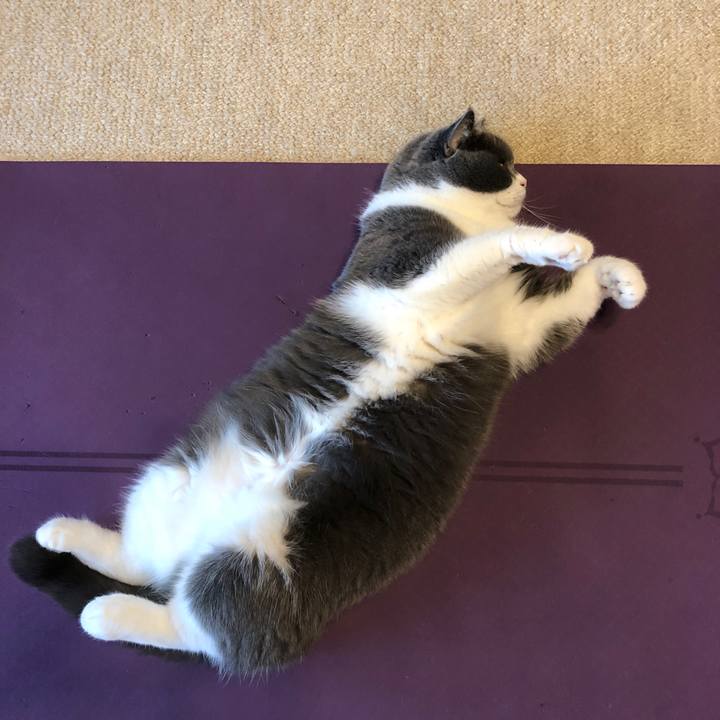 D3c026f4 452d 4525 aaa8 6f3b5cfdb5cd 1597879405032