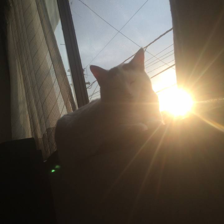 D3c030f4 edaa 4dc7 9c9f 2465bc4f7ebc 1525342289810