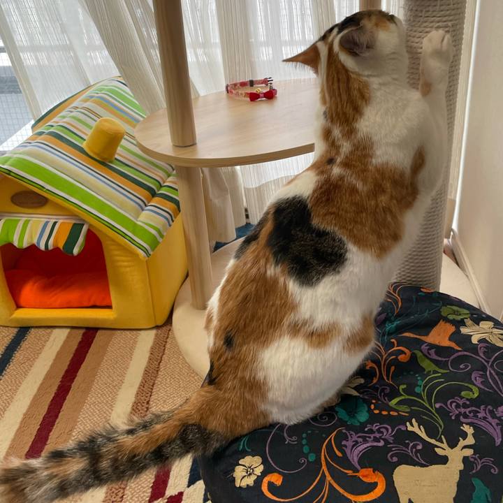 D3c0476f d7aa 4b9d a084 7b9b92c6b759 1614296137304