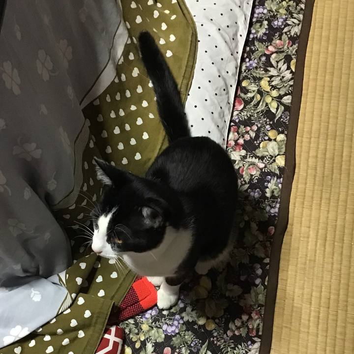 D3c057fe 6c6e 4b5e b86c cd049ddd7df2 1635154616814