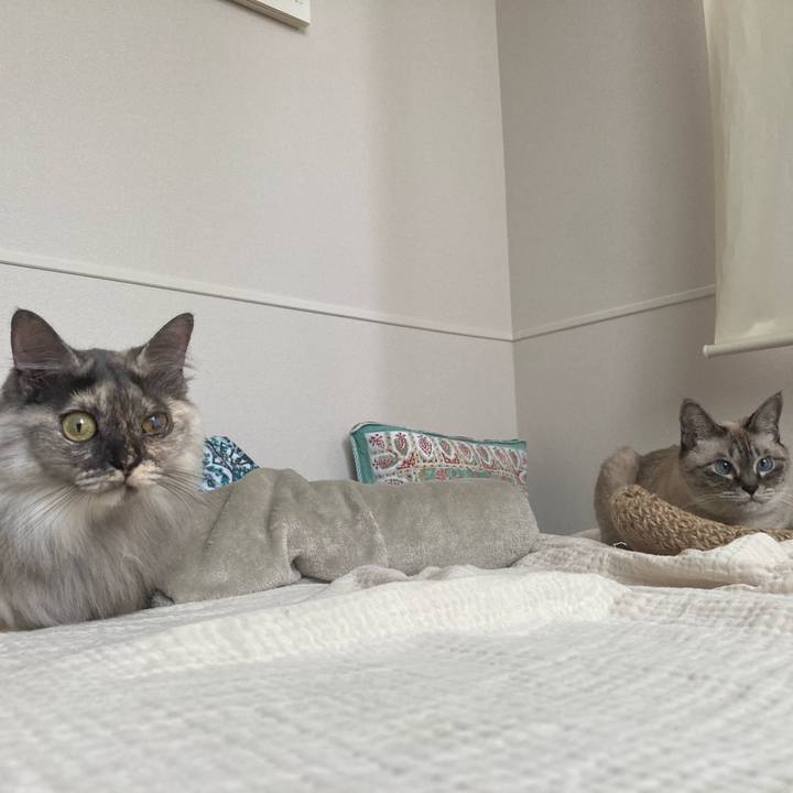 D3c0632e d46d 4662 b712 956b9fbfc50b 1759544129966