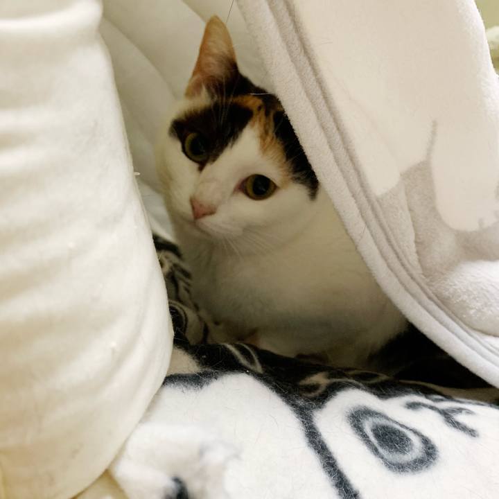 D3c07a17 72e0 4e2c afc5 5d296cee6a26 1551230494782