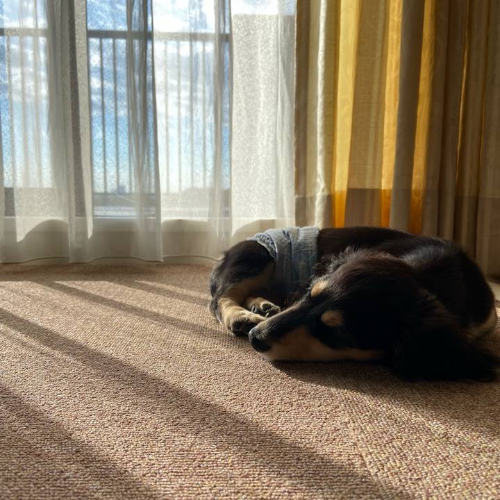 D3c07d7a 006a 4a67 bf3d 383c03d091d0 1668728330586