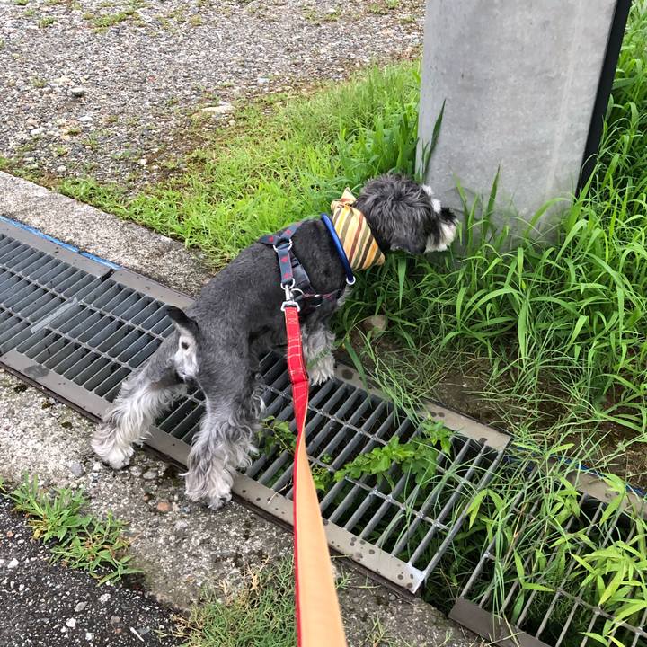 D3c08bc2 0c2a 4f40 a702 bc8ae38ea82d 1657797338036