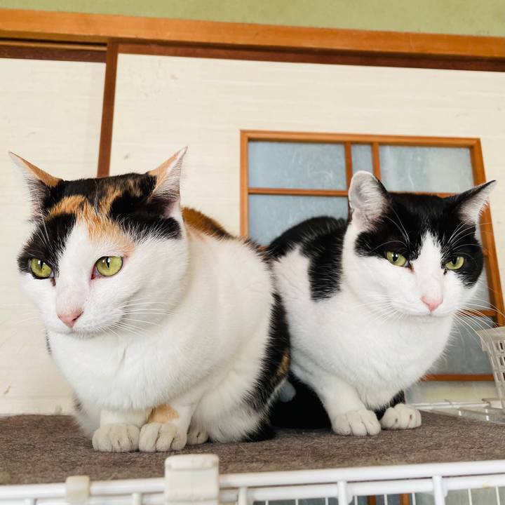 D3c09faa a5be 408b b486 c96667640df7 1613869666384