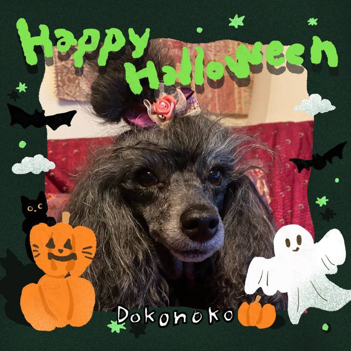 D3c0bc7e 6fd4 4bc1 87e0 88d16437acc9 1729164660395