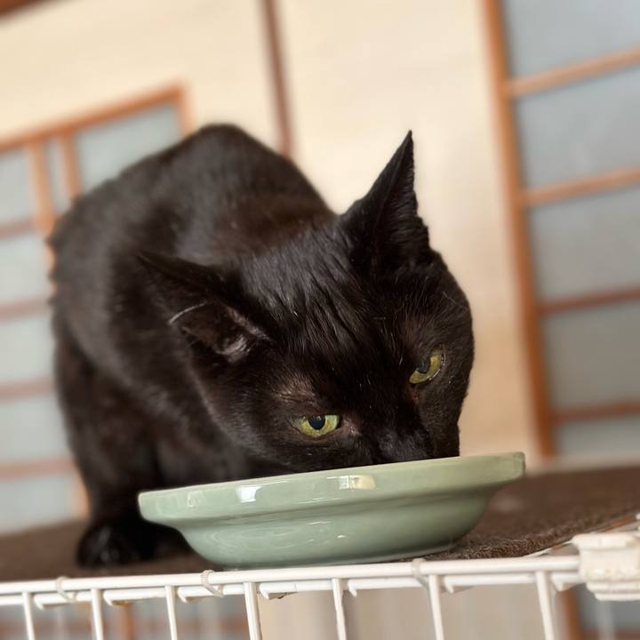 D3c0c87f a511 4b2c a55b 1fd08625e5bc 1691541615856