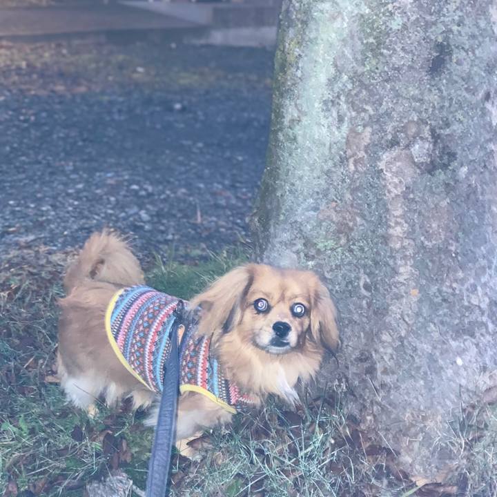 D3c0de6e 73a8 4ff7 8963 82e522dec3e5 1575495834180