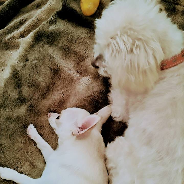 D3c0fb41 0dda 4367 8954 a612ef17e469 1719522643388