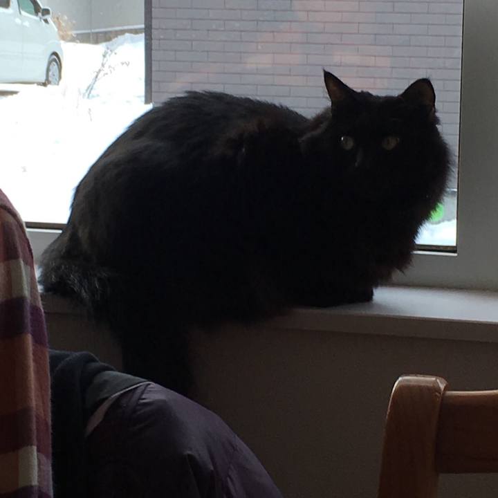 D3c10cfd 9b2b 42a3 a86b e6b3389ca116 1515894358611