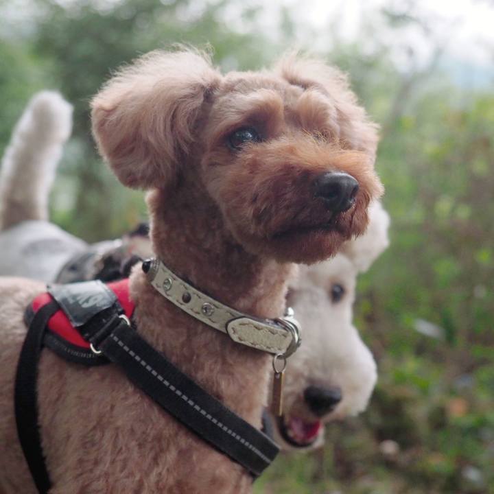 D3c1279d 25c4 4ff1 99be 5842df01faf0 1567904590642