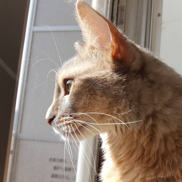 D3c12a93 3e54 4782 9a35 44abd241d68f 1574652010984