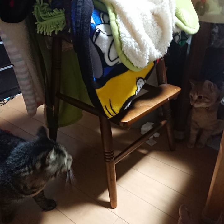 D3c15294 b824 4886 bfd8 866c51eeb94a 1635280381010