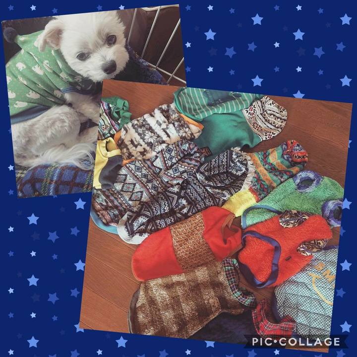 D3c160e4 9c38 4550 b02c 12cf4c9a0b06 1573011680198