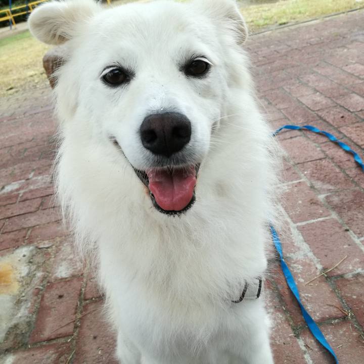 D3c180f5 d1db 46ac 8732 738a393d78c6 1537495632044