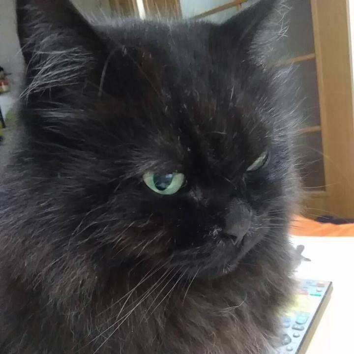 D3c1ad21 ea35 4d71 9414 3f1e309b01f6 1544145583229