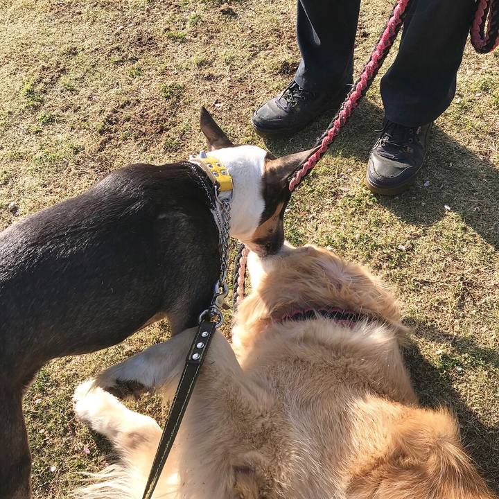 D3c1c22d f4a2 435c b6b3 be36f387f653 1523163288003