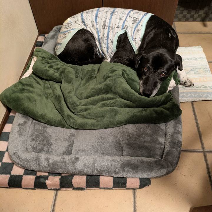 D3c1ccbb 8556 416d 8bf6 d8573eb1c3ba 1768870357154