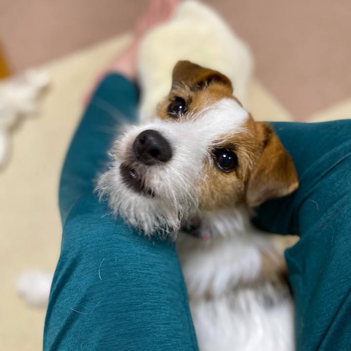 D3c1cf74 ab82 493e a14d 7048b7b3ab71 1658324660186