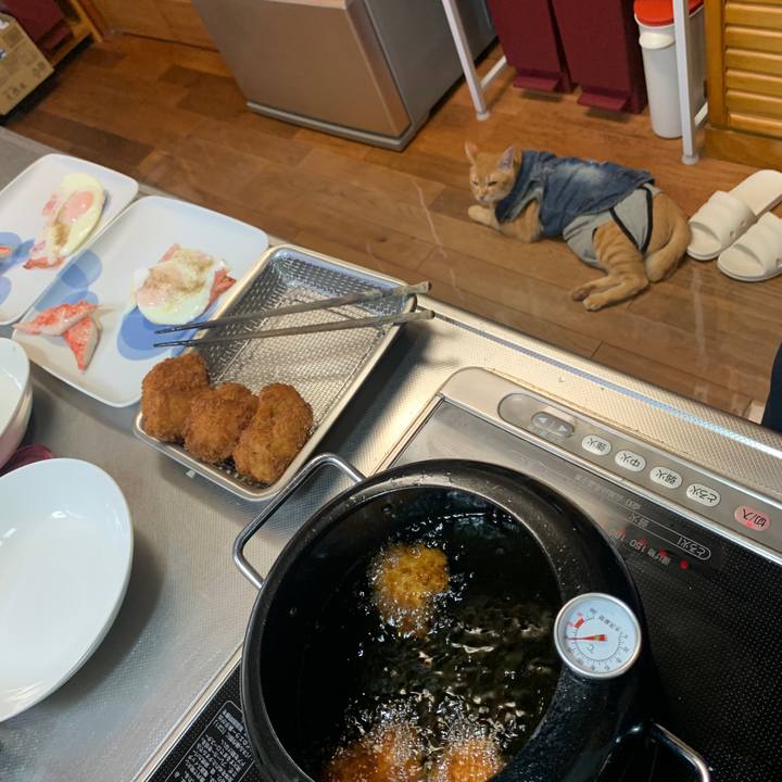 D3c1e1ba d20f 4e27 8a72 04fa50028ea9 1656068063412