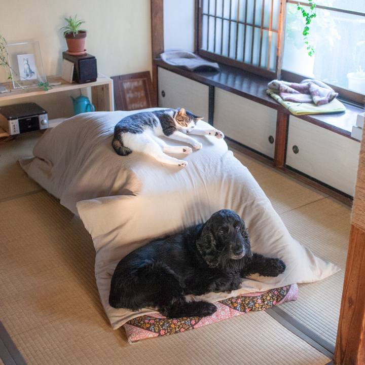 D3c22e27 ffe0 4b3a aa19 97b48bd70894 1567863030981