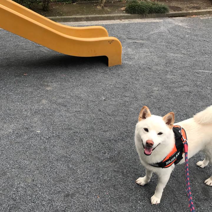 D3c23e2f aa98 49fc b93d 6a01c0e28a3d 1526514203566