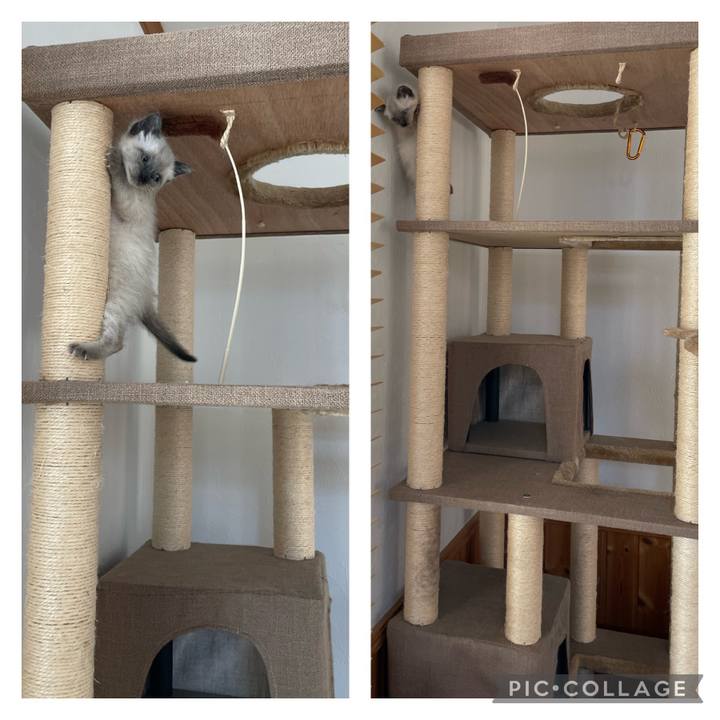 D3c282bc 004c 4c5d 8056 0e6eafeda31b 1685605985969